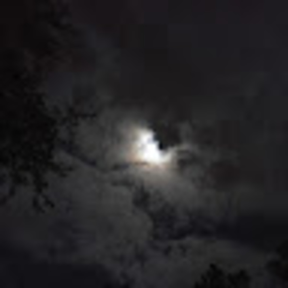 Meet your Posher, Dawn